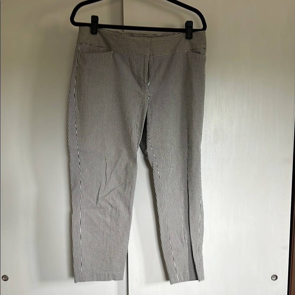 LOFT | 10 | EUC | Julie | Cropped pants - Picture 1 of 5